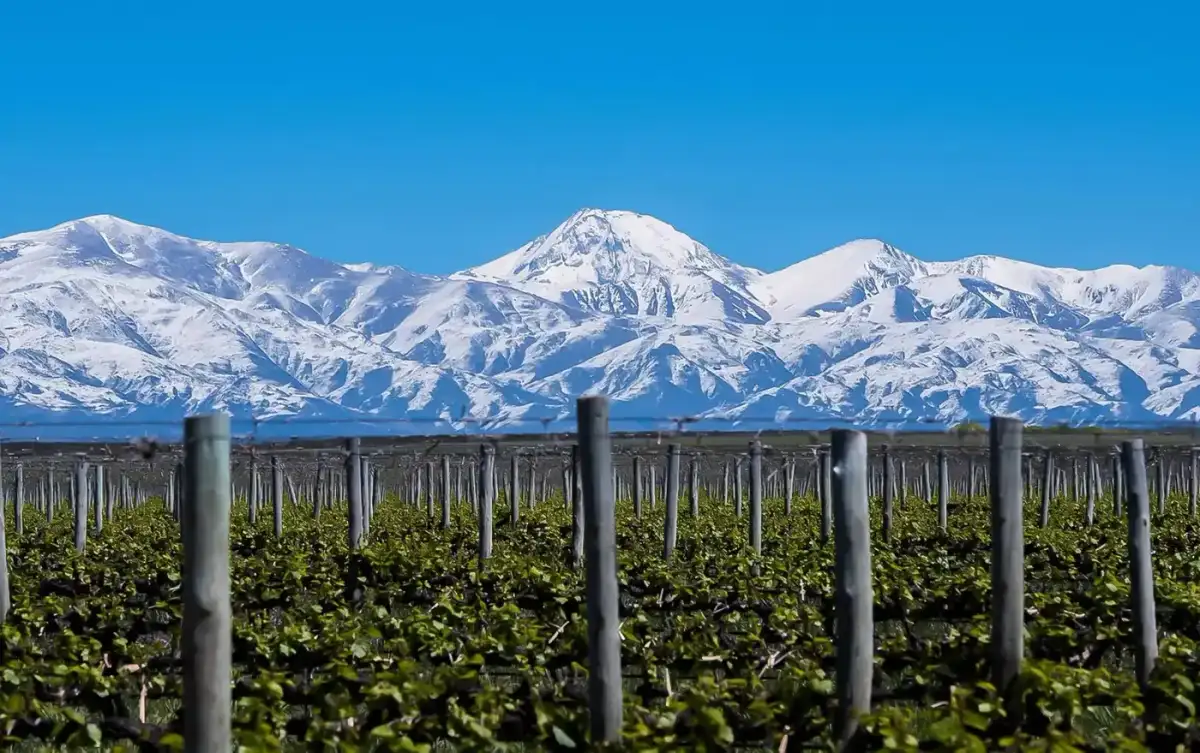 Caminos del Vino en Mendoza