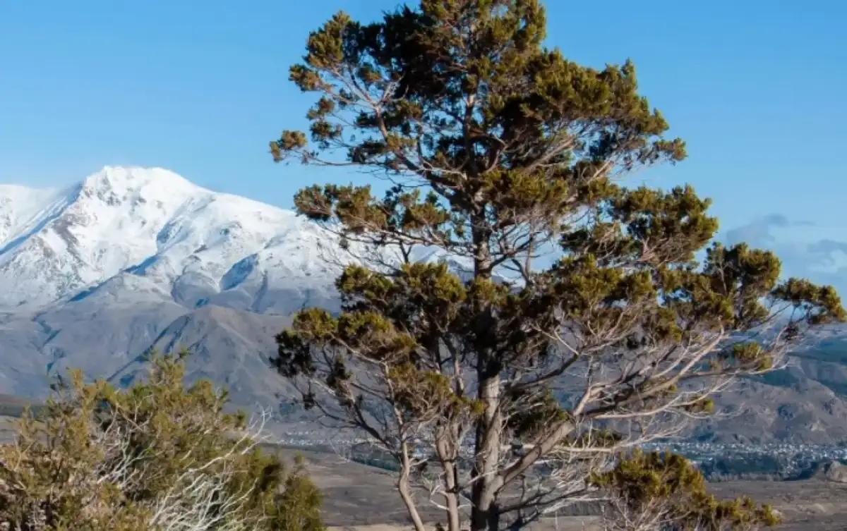 Paquete a Esquel en Bus