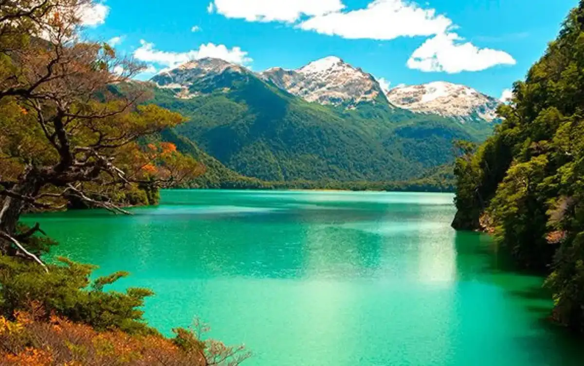 Patagonia Austral y Bosques Andinos