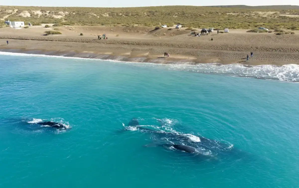Puerto Madryn en Fin de Semana Largo