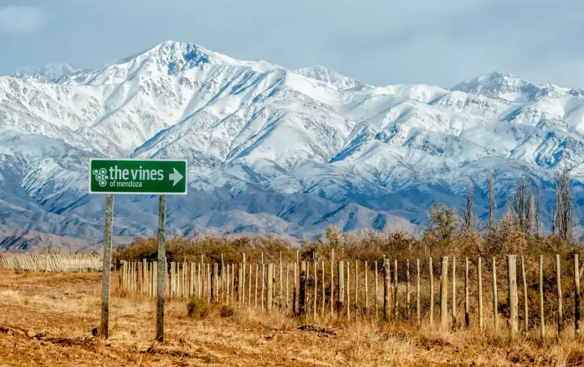 Tunuyán, Vinos y Cordillera